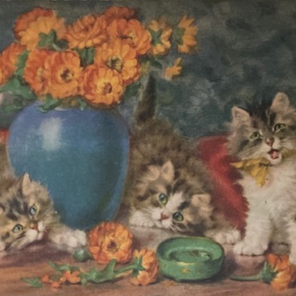 ~Welcome to my Closet~ - Picture 15 of 15